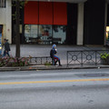 DSC_0026.jpg